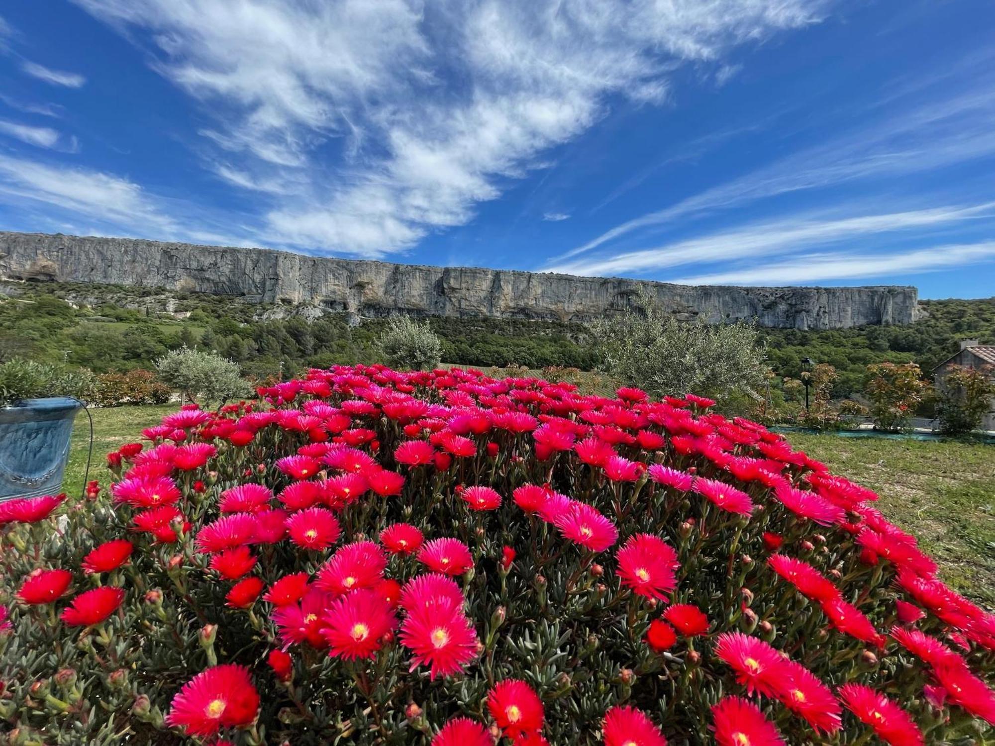 Gite La Madeleine Du Luberon. Lioux Kültér fotó