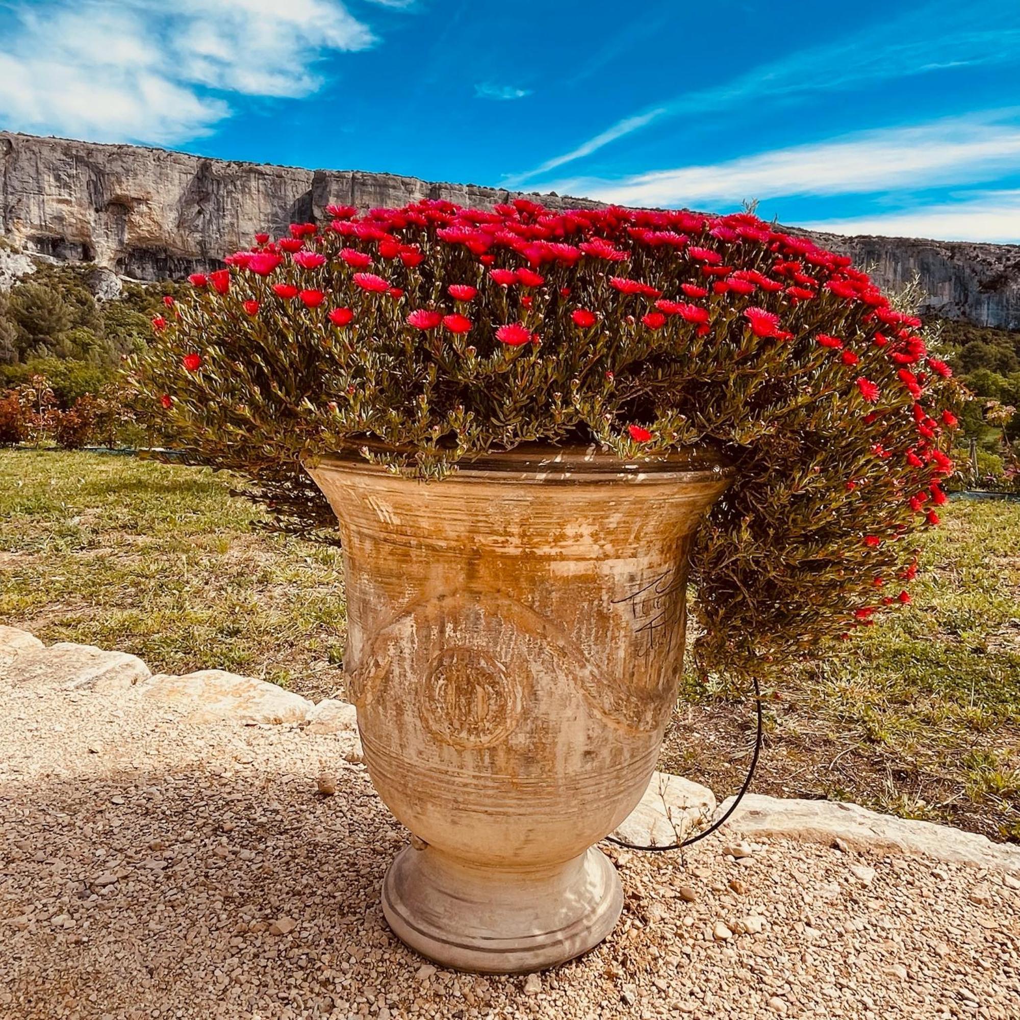 Gite La Madeleine Du Luberon. Lioux Kültér fotó